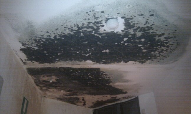 sala-polifunzionale-giulianova1