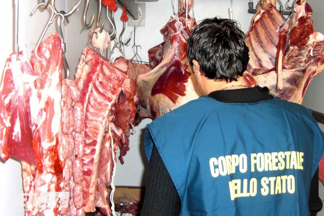forestale-macellazione1