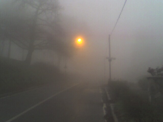 nebbia-sole1