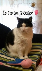 12249798_753073781465664_6236070960981838137_n