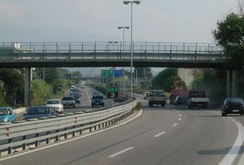 cane-su-asse-panico-tra-automobilisti