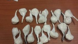 nereto-albanese-arrestato-per-droga