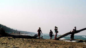 2015_tronco _AMP (2)