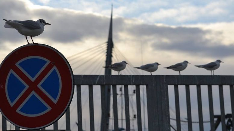 gabbiano-divieto1