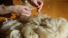 lavorazione-lana