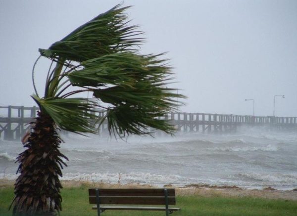 vento-meteo-puglia-freddo