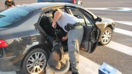 controlli-cani-droga-auto