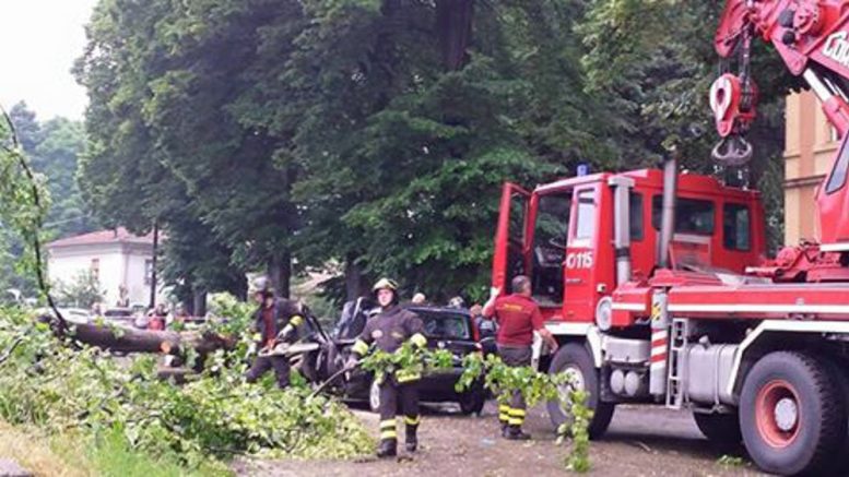 cade albero, donna ferita