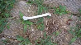 osso-ritrovato-torino-di-sangro