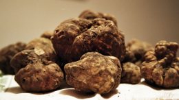 tartufi111