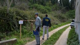 depuratori foto forestale