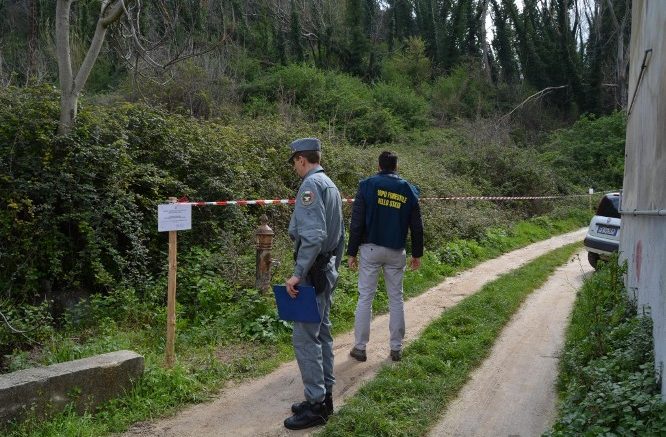 depuratori foto forestale