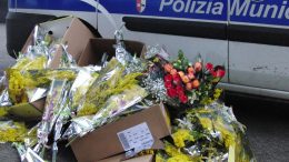 mimose-commercio-abusivo