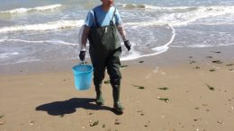 montesilvano-mare-arta