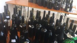 selezione-sindaco-vini1