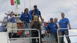 tartaruga-liberata-mare1