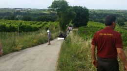 schiacciato-trattore-frisa1