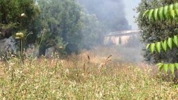 rogo via cavoni giulianova