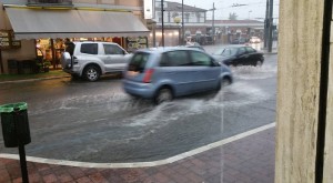 13902607_639468206218642_8647110724385152175_n