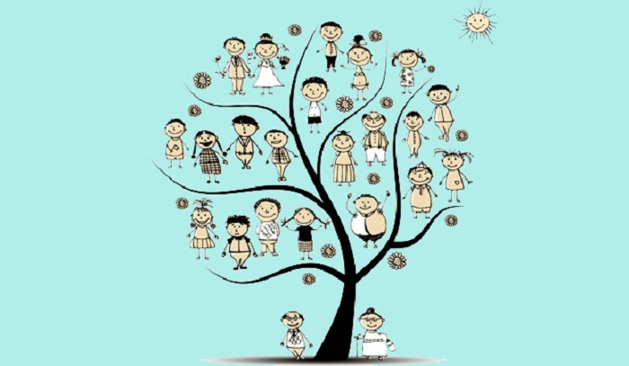albero-genealogico11
