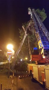 15181160_10209170636916795_256306911128234702_n