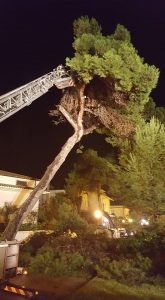 15241758_10209170636396782_4392438254805468988_n