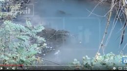 inquinamento-pescara