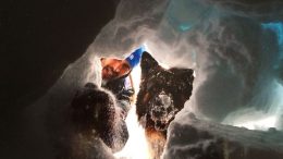 cane-morto-soccorso-alpino1