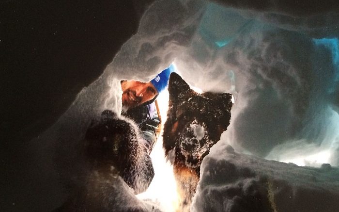 cane-morto-soccorso-alpino1