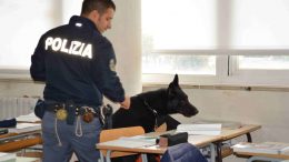 caniantidrogapolizia