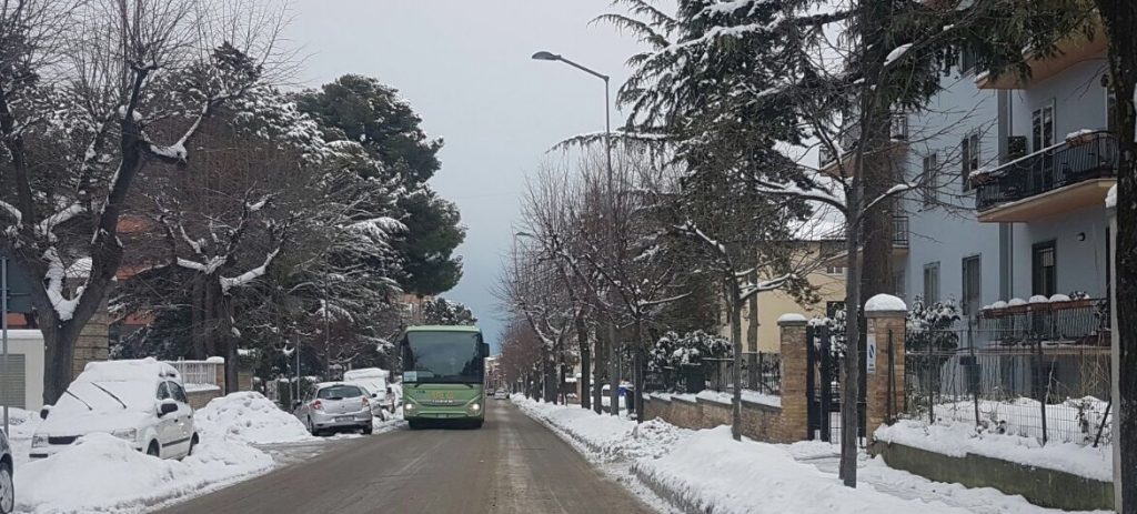 autobus-neve