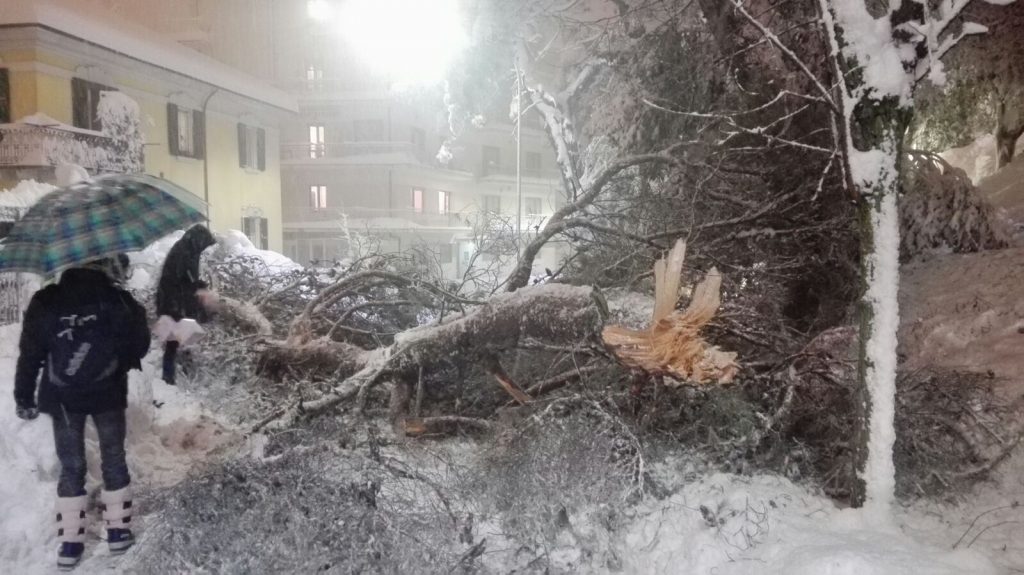 chieti albero caduto via liberazione