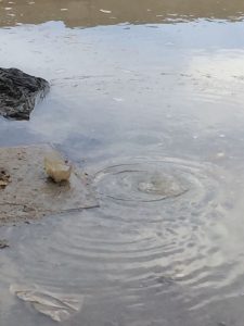 2017-02-20-PHOTO-00000124