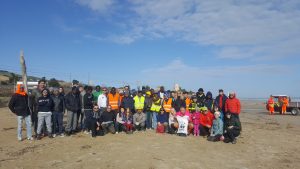 puliziaspiaggiaroseto