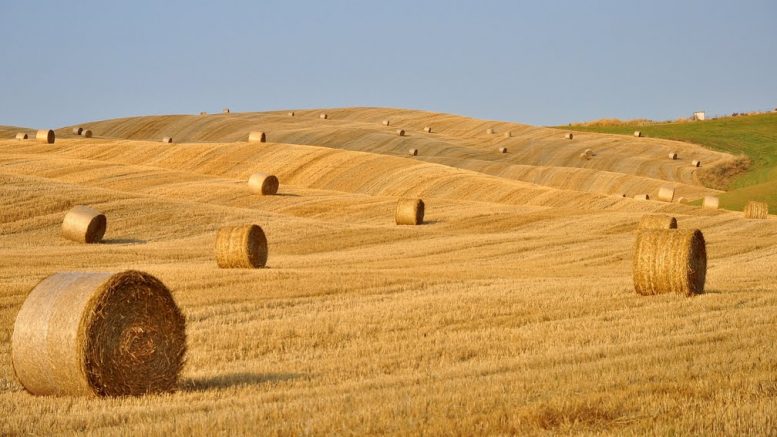 rotoballe-paglia-fieno