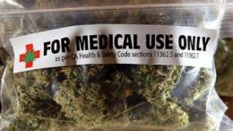 cannabis-terapeutica11