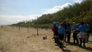 VANDALI TORRE CERRANO