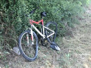 WhatsApp Image 2017-05-18 at 11.24.58