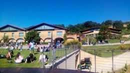 zaccagnini-cantineaperte11