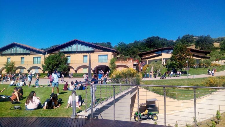 zaccagnini-cantineaperte11