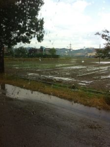 IMG-20170714-WA0004 (2)