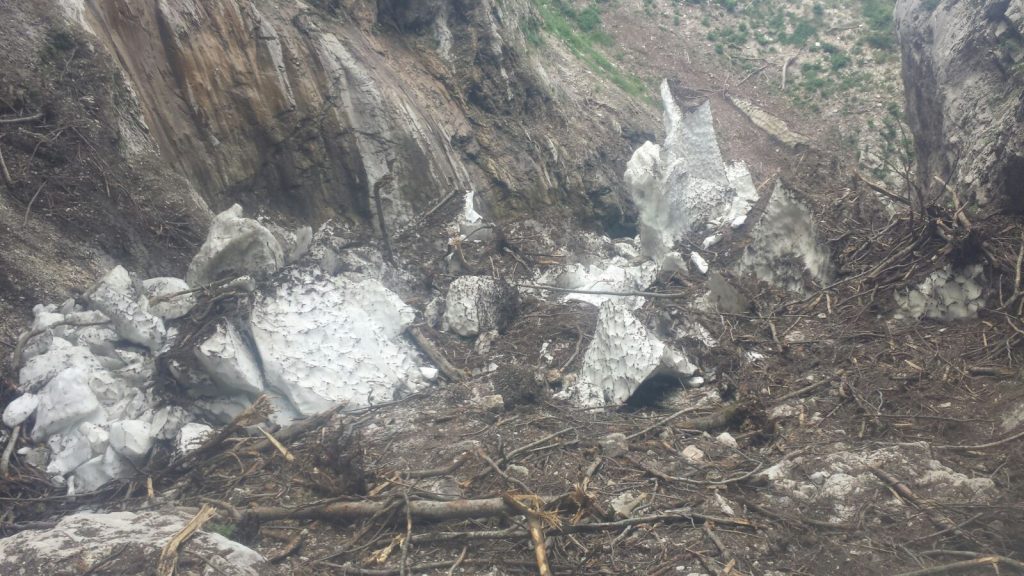 WhatsApp Image 2017-08-19 at 20.40.31(1)