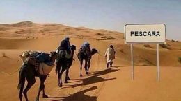 caldo-pe-cammelli111