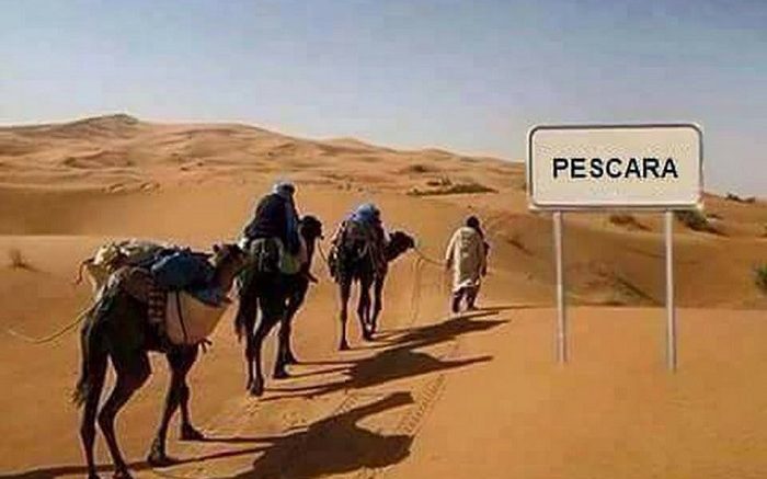 caldo-pe-cammelli111