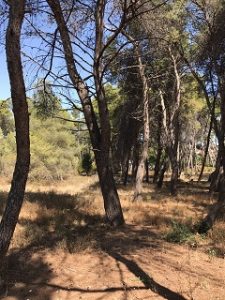 riserva dannunziana2