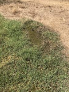 riserva dannunziana3