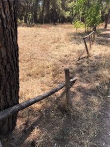 riserva dannunziana4