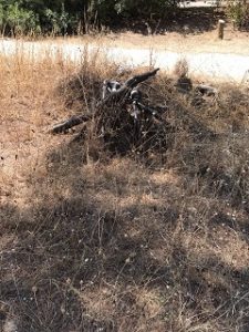 riserva dannunziana5