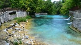 sorgente-delverde111