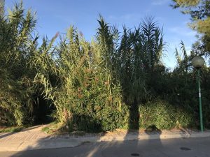 strada parco degrado1